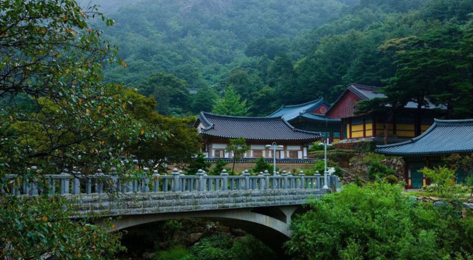 Magnificent Tour of South Korea and Japan: 7D/6N